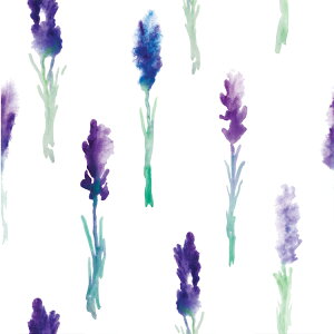 ySALEzxr[ Xh  XC}[oƓŏoYjɃIXXIiou[ X/Rbg X)uPbg ėp P[vE^IƂĂg j[L