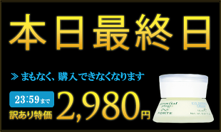 2月末日で販売終了