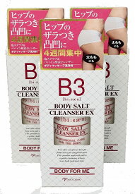 B3 ビーサン ボディソルトクレンザーEX 125g×3個