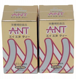 シンギー ANT（エイエヌティー）×2個　アリ加工食品