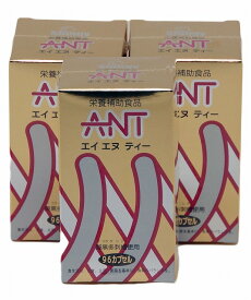 シンギー ANT（エイエヌティー）×3個　アリ加工食品