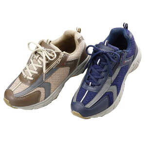 [qsGb`r amyXEH[LOV[Y TCY2FgiuE{lCr[j] Y VjA 40 50 60 70 80 ̓  hV v[g 蕨 p25116