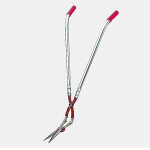  40 50 60 70 80 ̓ ꂳ ̓  hV Mtg v[g p26013