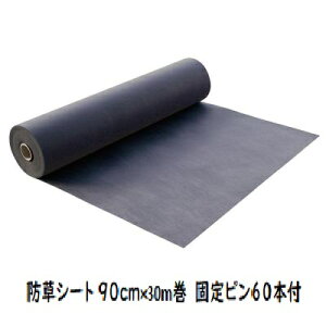 �h���V�[�g 90cm×30m���@�Œ�s��60�{�t ���� �h�� p28377