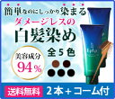 ≪楽天総合ランキング1位≫ルプルプ　ヘアカラートリートメント　お得2本セット　[無添加白髪染め] ランキングお取り寄せ