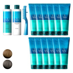 Ԍő1000~OFFN[|_3^Iׂ5Fyzvv wAJ[g[gg g[gg GbZX V[gwA5 mWA~ ܁EwAL