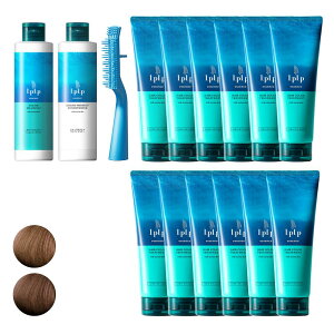 Ԍő1000~OFFN[|_3^Iׂ5Fyzvv wAJ[g[gg g[gg GbZX V[gwA5 mWA~ ܁EwAL