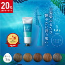 ★期間限定20%OFFクーポン★＼お試し／白髪に3分【公式】ルプルプ エッセンス カラートリートメント トライアルチュー…