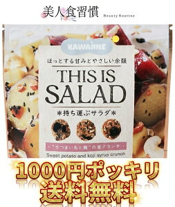 THIS IS SALAD[܂ƍ̖N`]N[|40%It č 1000~|bL    č čOm[ čÎ ibc Y sgp  _CGbg  O