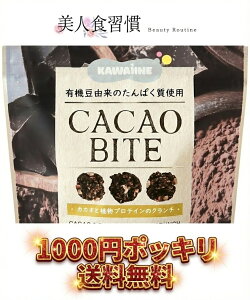 40%ItN[|Ώ CACAO BITE[JJIƐAveC̃N`]veCo[ KiO oii 󂠂 A Y  Oet[ Ă񂳂 ibc `R[g RRA vg