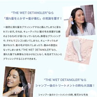 タングルティーザーザウェットディタングラー