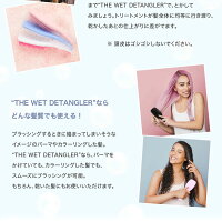タングルティーザーザウェットディタングラー