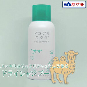 yyzAX hRfN_ hCVv[ 80gb4ő 􂢗sv Vv[  h ObY @ PA ̂ȂVv[ Xv[  􂢗 