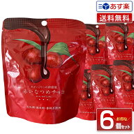 【新鮮！毎週入荷】【送料無料 6個セット】赤いなつめチョコ 内容量 40g ｜マンジェリコン グランドフー…