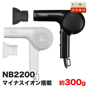 ���K�i �e�X�R�� �m�r�[ NB2200 �}�C�i�X�C�I�� �w�A�[�h���C���[ 1200W �t�[�h�t �u���b�N/�z���C�g �b �}�C�i�X�C�I������ �w�A�h���C���[ �Ōy�� 300g �h���C���[ NB2100 �� ���j���[�A�� �ŐV��