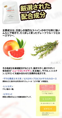 日焼け止めサプリHD5-L