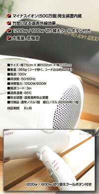 エバーメイトプロイオンドライヤー1200