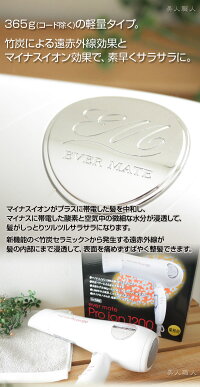 エバーメイトプロイオンドライヤー1200