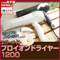 エバーメイトプロイオンドライヤー1200