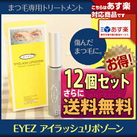 アイズアイラッシュリポゾーン15ml
