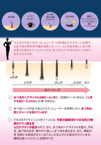 アイズアイラッシュウィッシュネオ