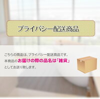 デンマデイジーdenmaDAISY電マデイジー