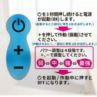 デンマデイジーdenmaDAISY電マデイジー