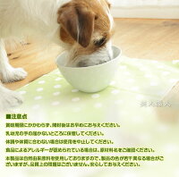 ミドリムシのちから