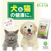 ミドリムシのちから