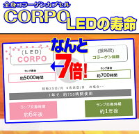 FineLiteCORPOputitファインライトコプポプチ