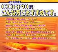FineLiteCORPOputitファインライトコプポプチ
