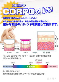 FineLiteCORPOputitファインライトコプポプチ