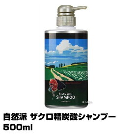 自然派 ザクロ精炭酸シャンプー500ml ポンプ入【絵画バージョンにリニューアル】サニープレイス (あす楽)(プレゼント ギフト)