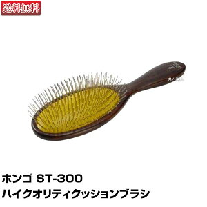 zS ST-300 nCNIeBNbVuVXJvPAɍœKIyz(y)(v[g Mtg)