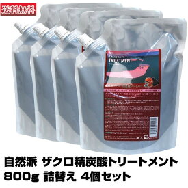 【4個セット】自然派 ザクロ精炭酸トリートメント 800g【詰替え】【即納可】【絵画バージョン】サニープレイス(あす楽)【送料無料】(プレゼント ギフト) 福袋