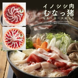道の駅むなかた イノシシ肉（むなっ猪）もも＋ロースセット（各300g）【冷凍】福岡県 宗像市