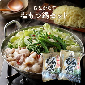道の駅むなかた むなかた牛 塩もつ鍋セット 2人前×2（計4人前）【冷凍】福岡県 宗像市