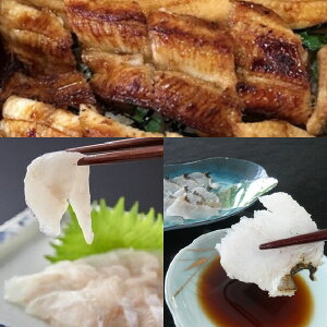 ̉wނȂ @sY VRȂiZbg v3Mie1MjyⓀz @s