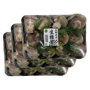 xGiW[t@[ 쌧Y ۏ 400g×3pbN 쌧 zKSxm