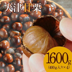 VÊÌIX ߉YHi ̓50N̐ElĂA₳Â݂Ղ́uVÊÌIv1.6kg m ɓs | Ă I  I kt َq ܂ lC s[g  I 