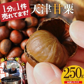 【予約】10月中旬より順次発送 天津甘栗専門店 衣浦食品【お試し】この道50年の職人が焼く、やさしい甘みたっぷりの「天津甘栗」250g 愛知県 碧南市 | 保存料不使用 焼きたて くり 栗爪 殻付き 河北省 甘栗 焼き栗 お菓子 おつまみ 人気 高リピート 小分け 栗ご飯 お取り寄せ