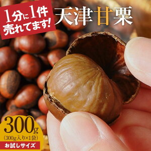 VÊÌIX ߉YHiyz̓50N̐ElĂA₳Â݂Ղ́uVÊÌIv300g m ɓs | ۑsgp Ă  I kt ͖k ÌI ĂI َq 