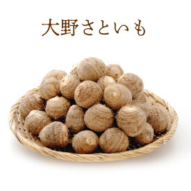 越前おおの農林樂舎 大野さといも 3kg【M・Lサイズ混合】福井県 大野市