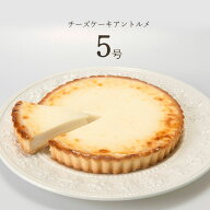 丸安田中屋 チーズケーキアントルメ5号 長野県 諏訪市