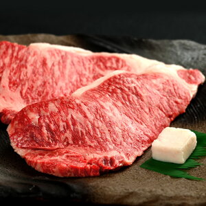 aH[yKR-2za A4N T[CXe[L200g ×2 (Ⓚ) t NÎs