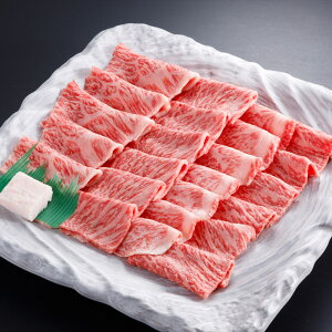 aH[yKY-45za A4N ԏĂ450g (3lOEⓀ) t NÎs