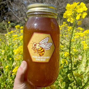 ї{I Ă̕SԖ 1kg t Ys