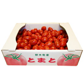 針谷農園 栃木県野木町産ミニトマト 約1.5kg 栃木県 下都賀郡野木町