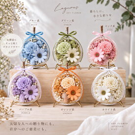 Lagurus 花実香（Hanamika) 全6色 東京都