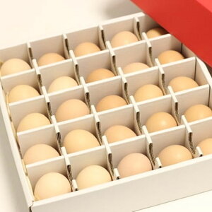 JlgRЉؓX yW[ 25 m S̒